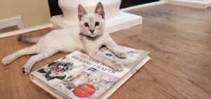 wedding-planners-survival-guide